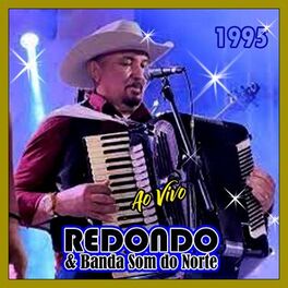 Album cover of AO VIVO - 1995