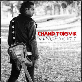 Album cover of Vingeskutt