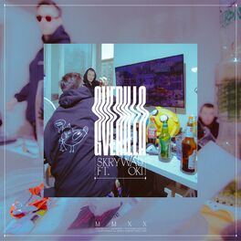 Album cover of Skrywa9