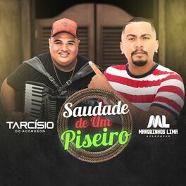 Album cover of Saudade de um Piseiro