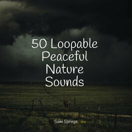 Album cover of 50 Loopable Peaceful Nature Sounds