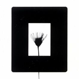Album cover of Inner Flower