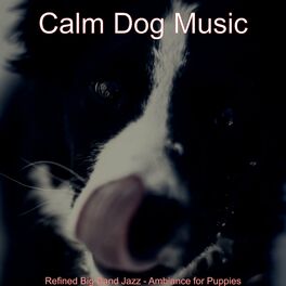 Album cover of Refined Big Band Jazz - Ambiance for Puppies