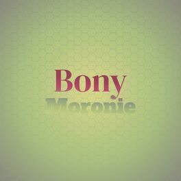 Album cover of Bony Moronie