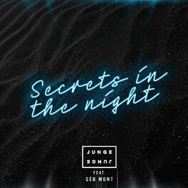 Album cover of Secrets In The Night