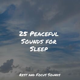 Album cover of 25 Peaceful Sounds for Sleep