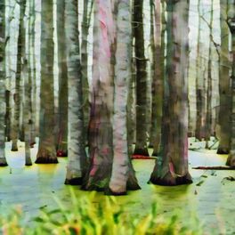 Album cover of Swamp sounds