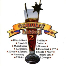 Album cover of Country Koktejl 2