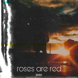 Album cover of Roses are Red