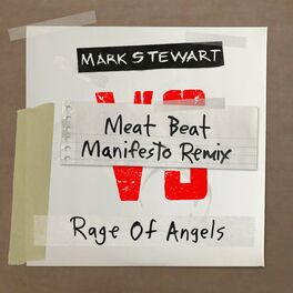 Album cover of Rage of Angels (Meat Beat Manifesto Remix)