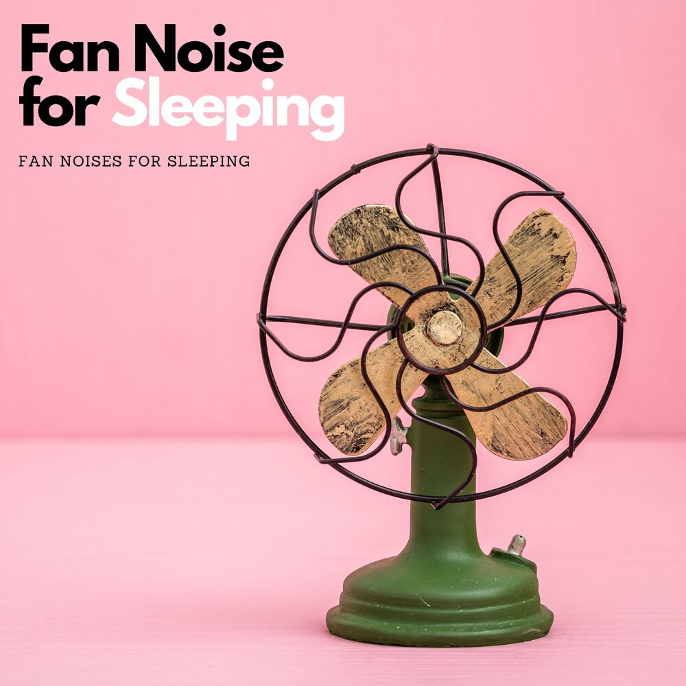 Fan noise. Вентилятор текст. Fan. Fan Fan Fan песня.