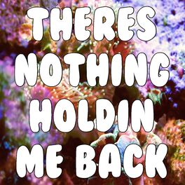 Album cover of There's Nothing Holdin' Me Back (Tribute to Shawn Mendes)