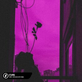 Album cover of Stupid