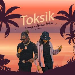 Album cover of Toksik