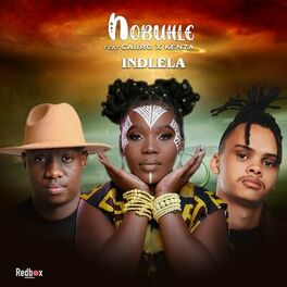 Album cover of Indlela