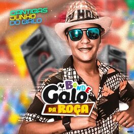 Album cover of Cantigas Junho do Galo