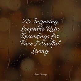 Album cover of 25 Inspiring Loopable Rain Recordings for Pure Mindful Living