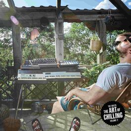 Album cover of The Art of Chilling, Vol. 2