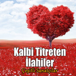 Album cover of Kalbi Titreten İlahiler