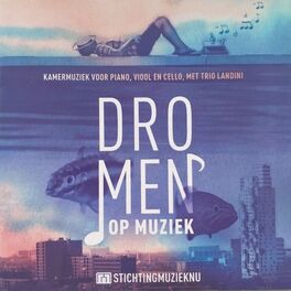 Album cover of Dromen Op Muziek
