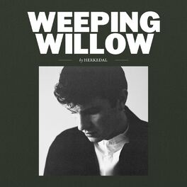 Album cover of Weeping Willow