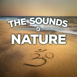 Album cover of The Sounds of Nature