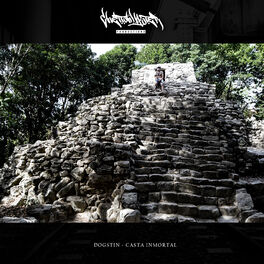 Album cover of Casta Inmortal