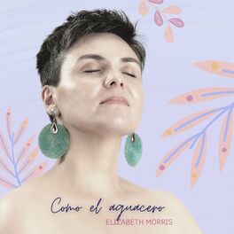 Album cover of Como el Aguacero