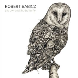 Album cover of The Owl and the Butterfly