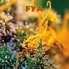 Album cover of Fya