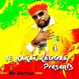 Album cover of 18 Karat Reggae Presents Mr Bertus