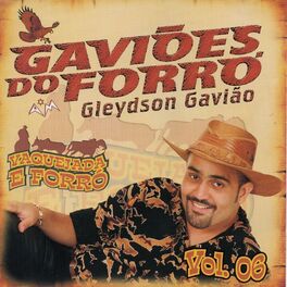Album cover of Vaquejada e Forró, Vol. 6