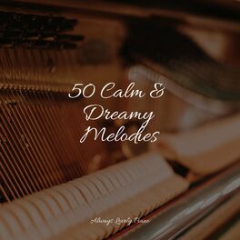 Album cover of 50 Tracks for Ultimate Deep Chillout and Healing