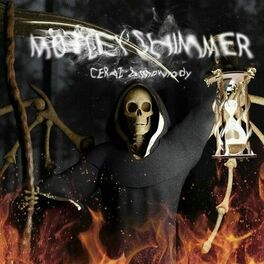 Album cover of MOTLEY SHIMMER