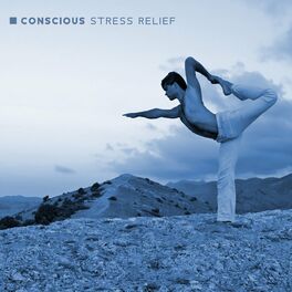 Album cover of Conscious Stress Relief: Relaxing Hang Drum Music for Yoga Nidra and Guided Meditation