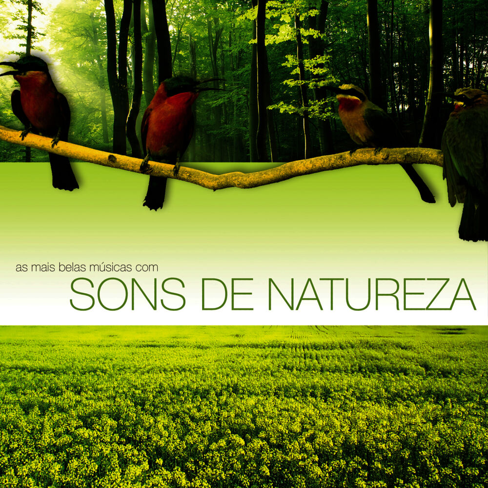Natures project. Corciolli - nature Sounds. Corciolli - nature Sounds 2005. Corciolli the Tranquility of the Sounds of nature.