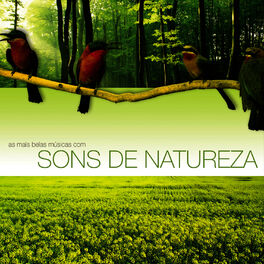 Album cover of As Mais Belas Músicas com Sons de Natureza