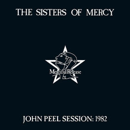 Album cover of John Peel Session: 1982