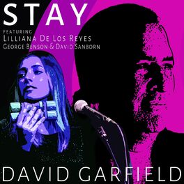Album cover of Stay