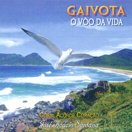 Album cover of Gaivota: O Vôo da vida