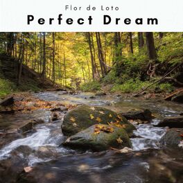 Album cover of 1 Perfect Dream