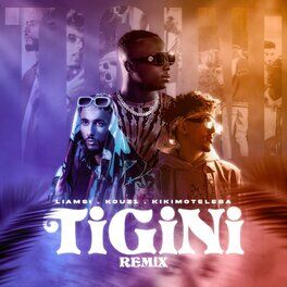 Album cover of Tigini North African Remix
