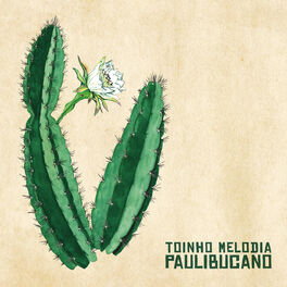Album cover of Paulibucano