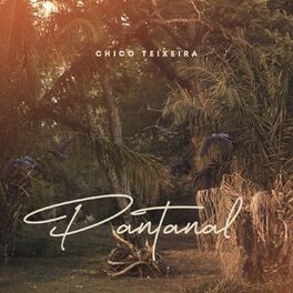 Album cover of Pantanal