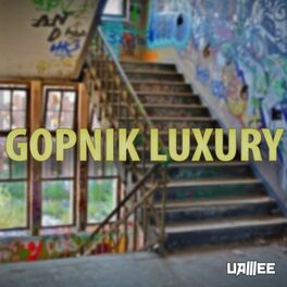 Album cover of Gopnik Luxury