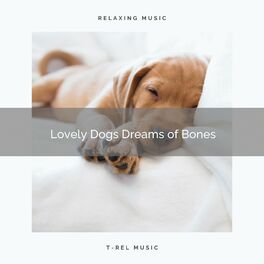 Album cover of 4 Legged: Lovely Dogs Dreams of Bones