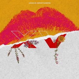 Album cover of XV