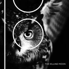 Album cover of The Killing Moon