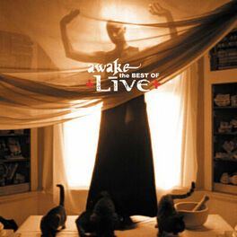 Album cover of Awake The Best Of Live