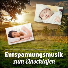 Album cover of Entspannungsmusik zum Einschlafen